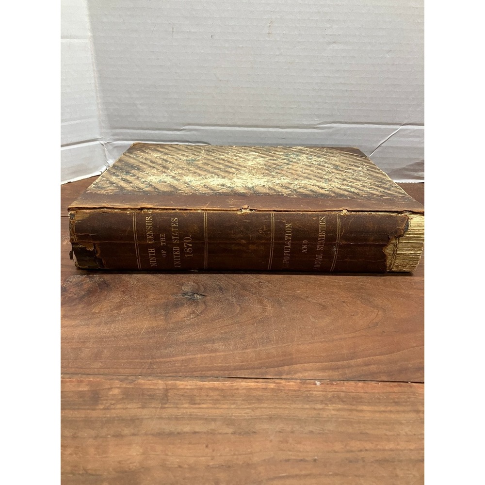 Ninth Census of the US 1870 Population & Social Statistics Vol 1 Walker 1872